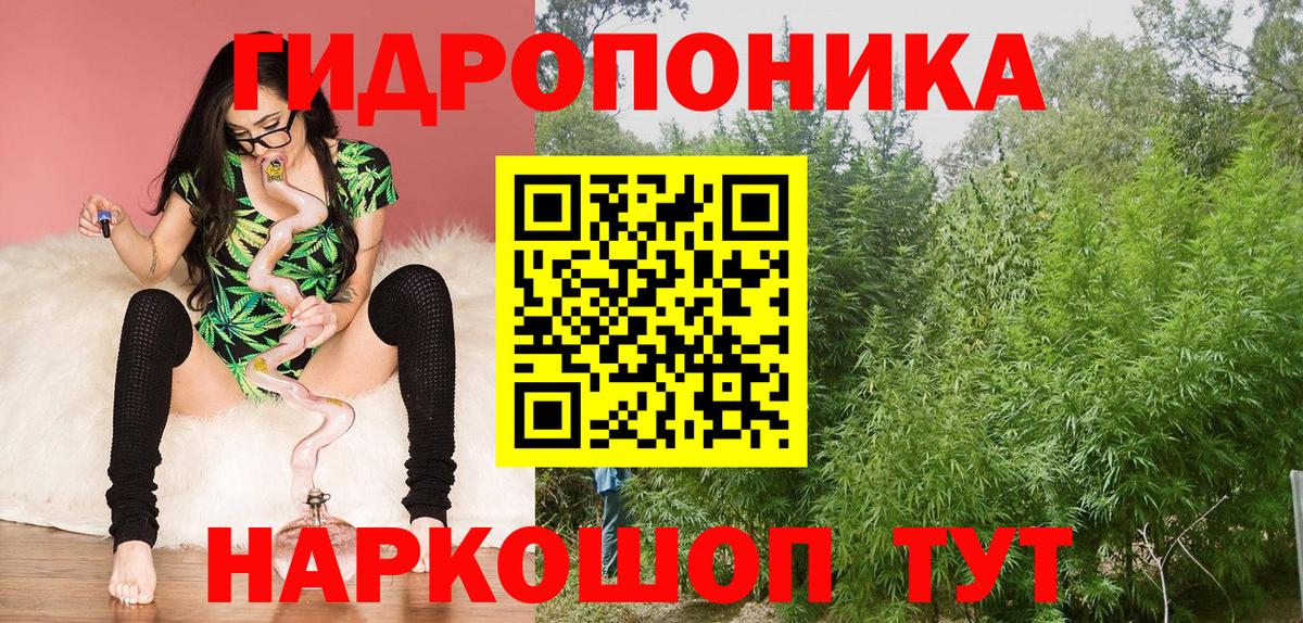 Бошки Шишки Ganja  Вход с VPN  МАРИХУАНА Ganja  Каннабис семена  Костомукша  Бошки Шишки тримм 